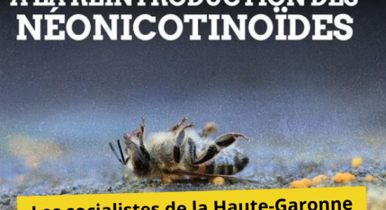 Adoption de la loi « Duplomb » : une tromperie pour les agriculteurs et un recul pour l’environnement